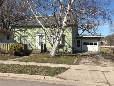 Homes For Sale - 623 4th Avenue<br/> Waseca County, Waseca, MN 56093