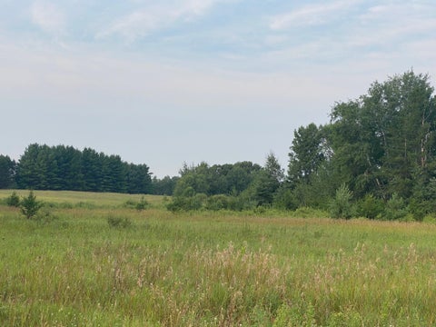 Vacant Land For Sale - TBD 325th Avenue Nw<br/> Princeton, MN 55371