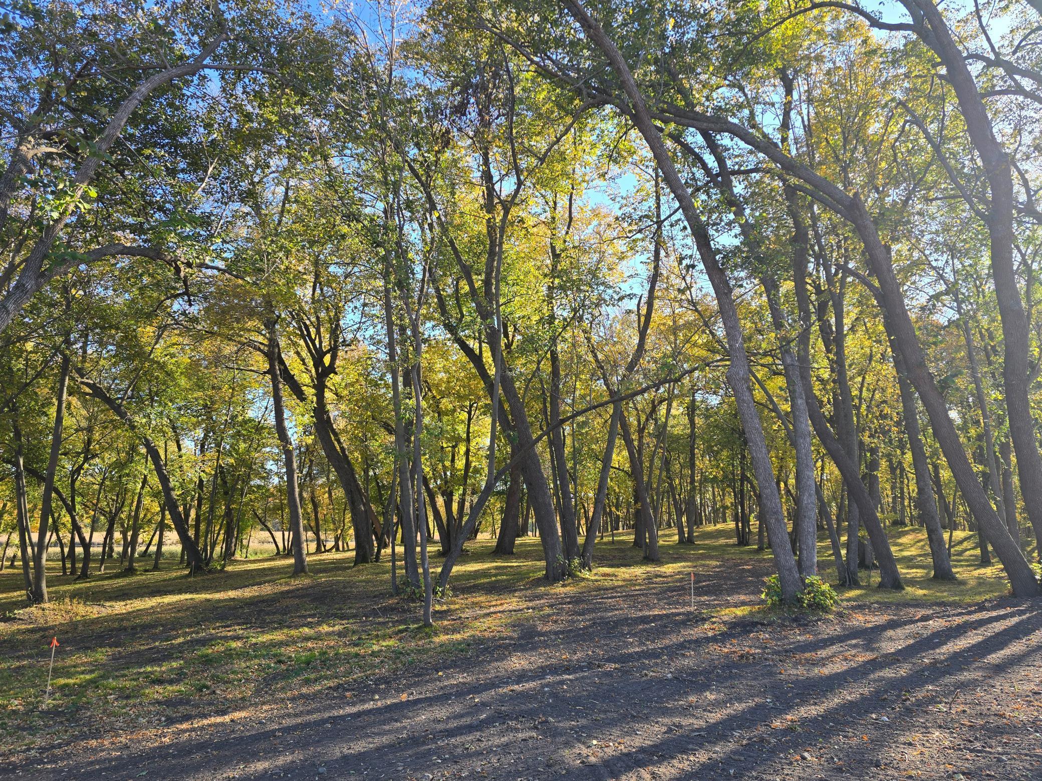 Tract L Blybergs Lane, Pelican Rapids, Minnesota image 4