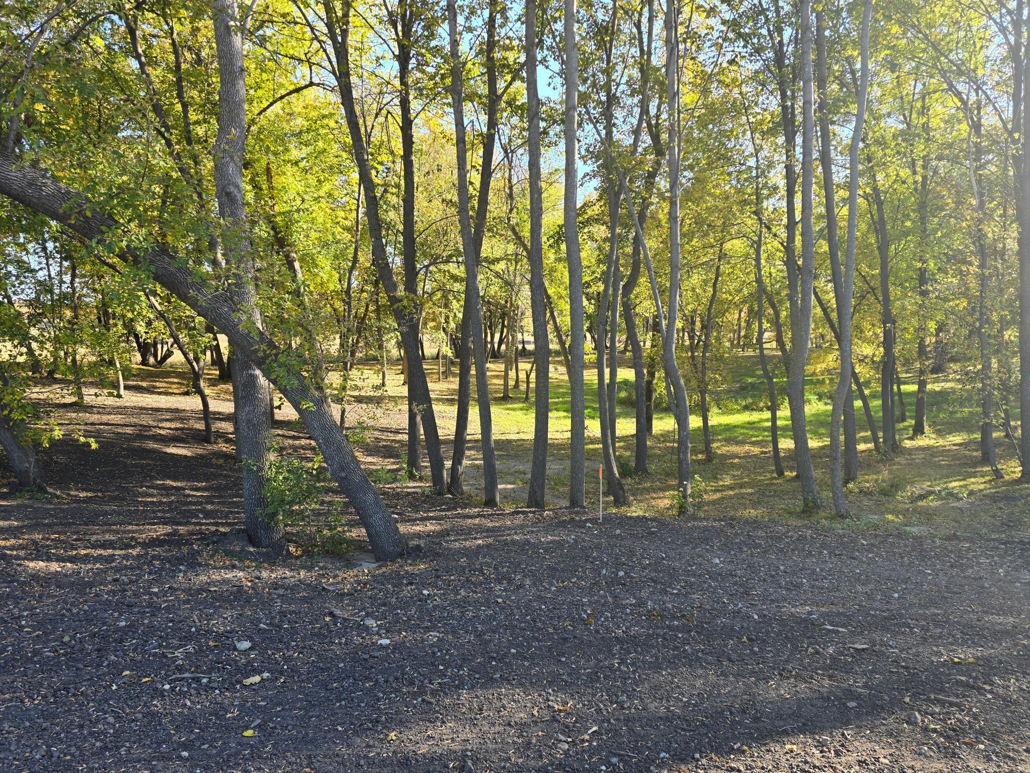 Tract L Blybergs Lane, Pelican Rapids, Minnesota image 43