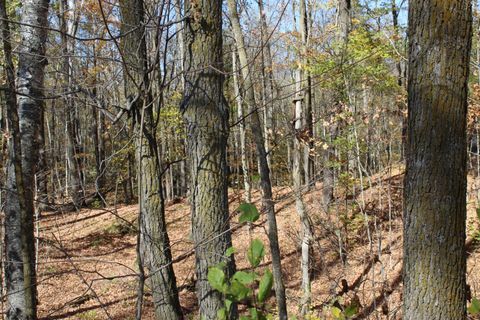 Vacant Land For Sale - TBD Woods Road<br/> Kanabec County, Isle, MN 56342