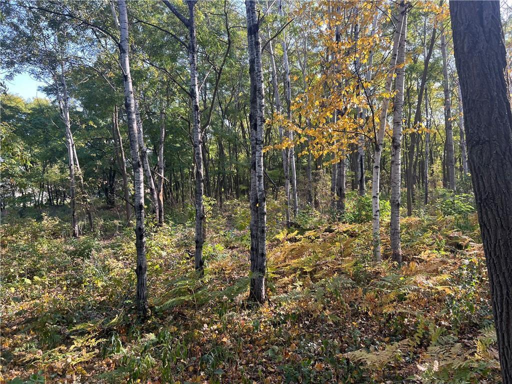 Lot 1 Pet Road, Spooner, Wisconsin image 1