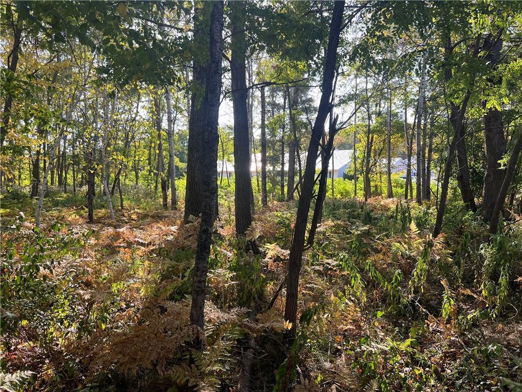 Lot 1 Pet Road, Spooner, Wisconsin image 11