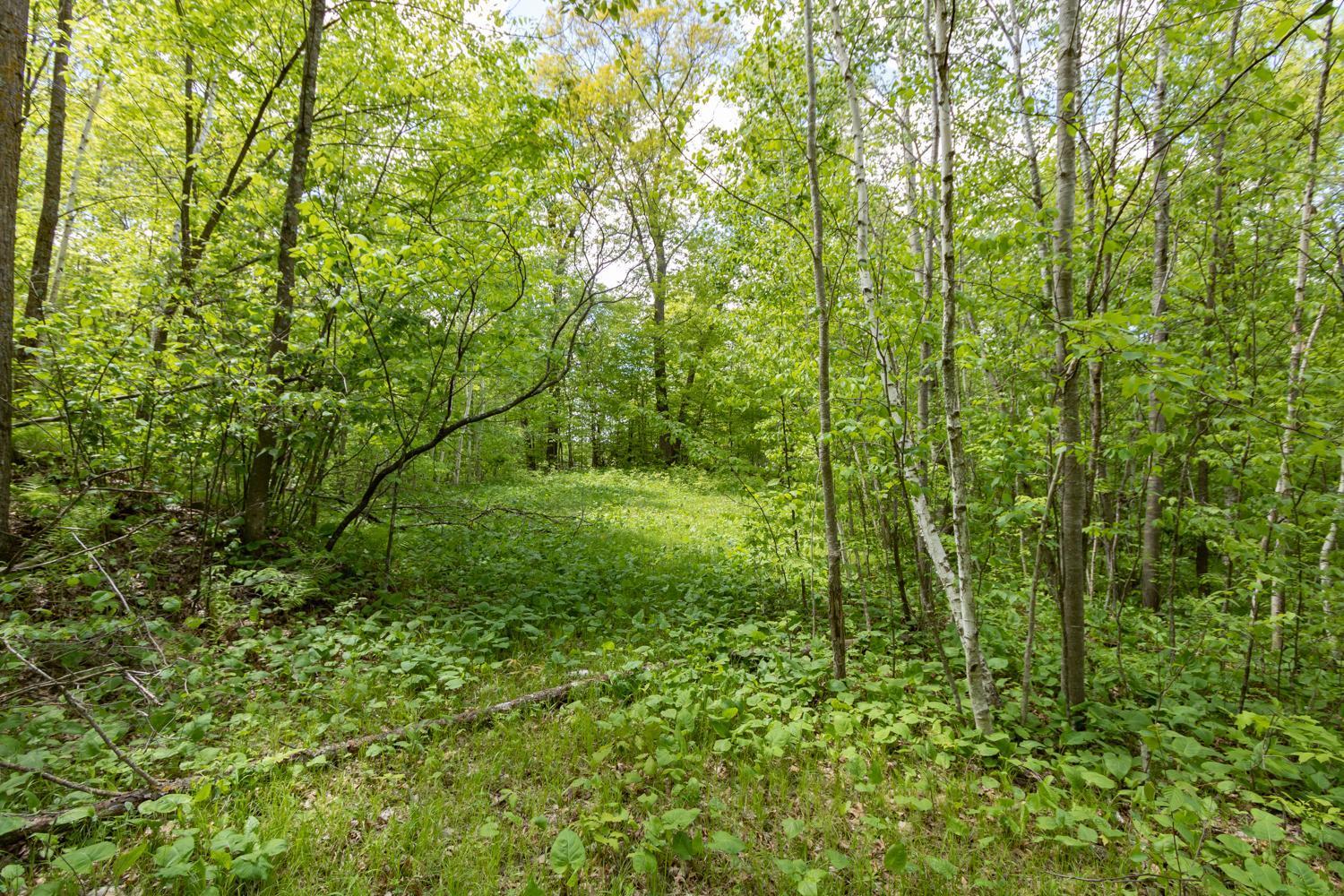 Lot 12 133rd Street, Amery, Wisconsin image 7