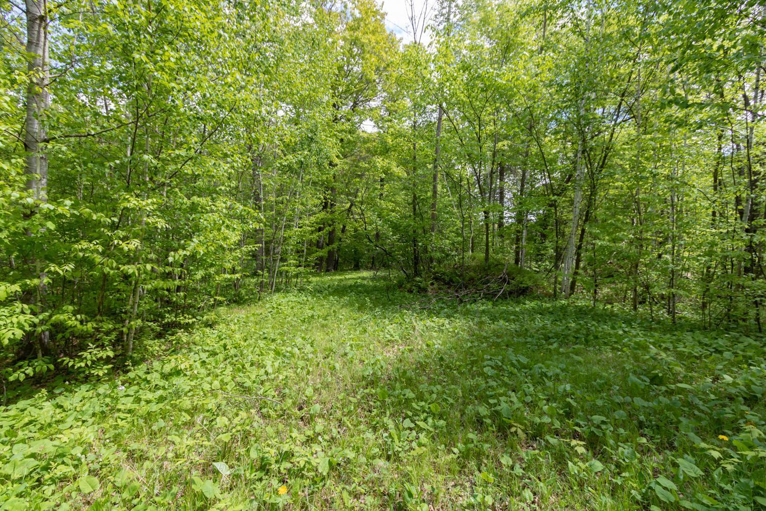 Lot 12 133rd Street, Amery, Wisconsin image 5