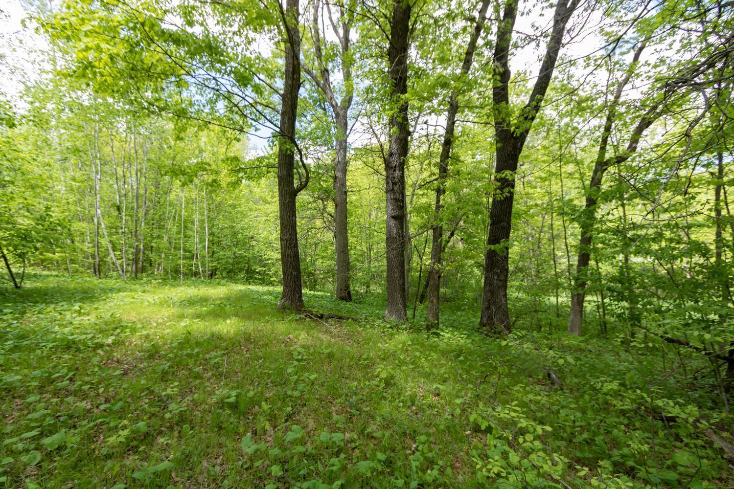 Lot 12 133rd Street, Amery, Wisconsin image 1