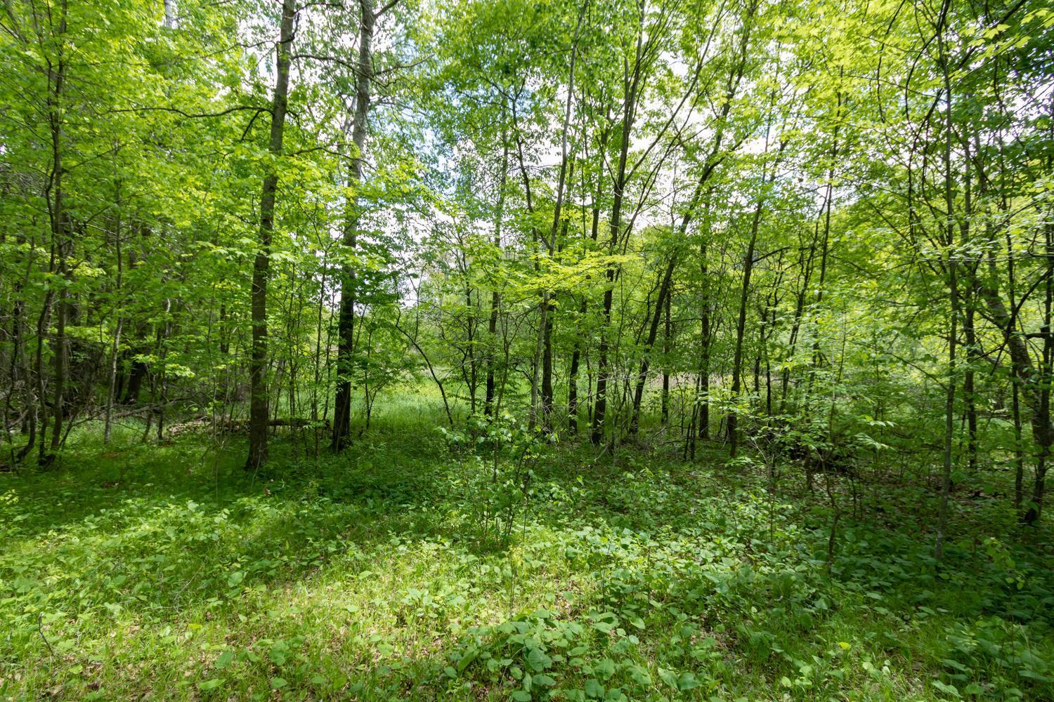 Lot 12 133rd Street, Amery, Wisconsin image 8