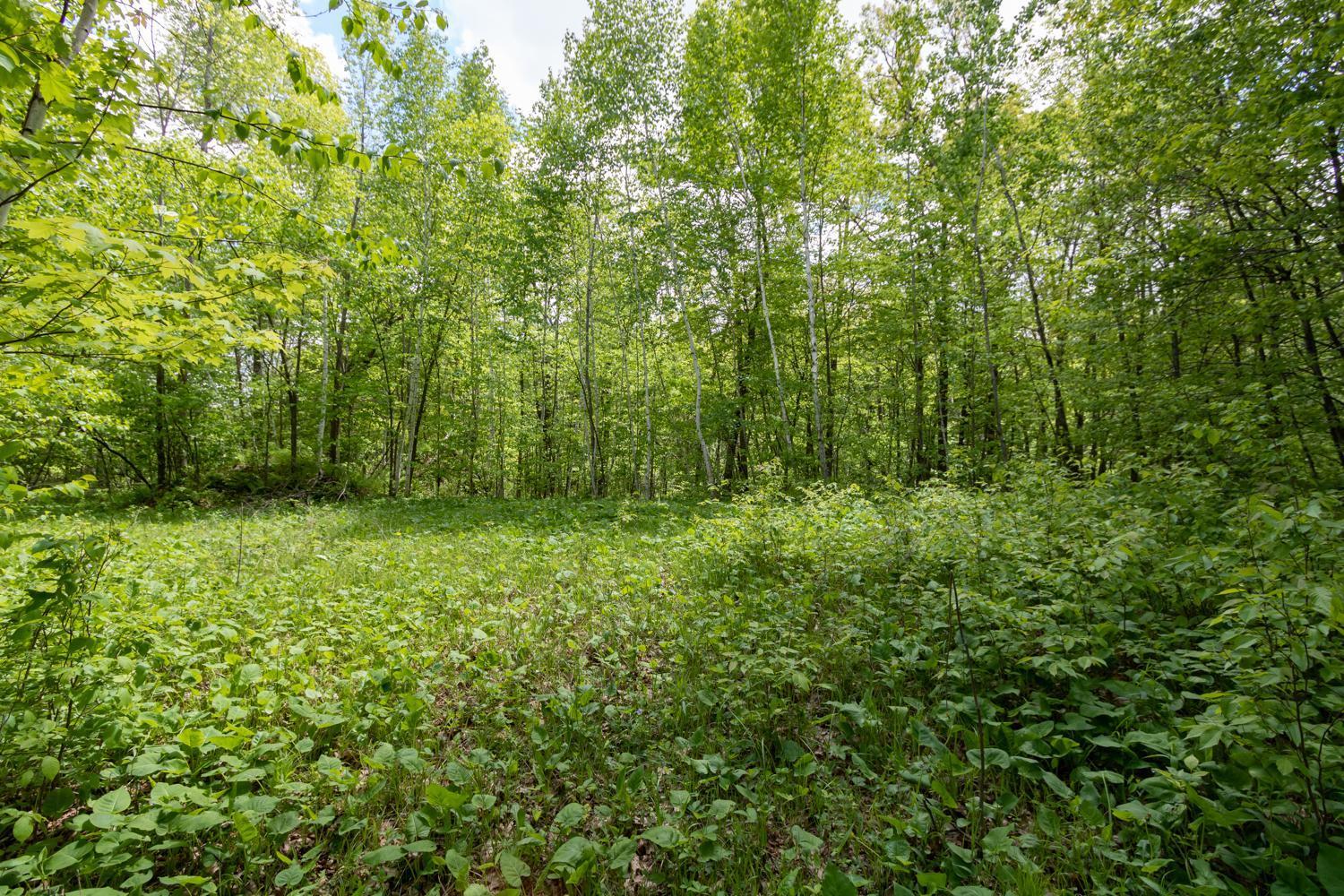 Lot 12 133rd Street, Amery, Wisconsin image 4