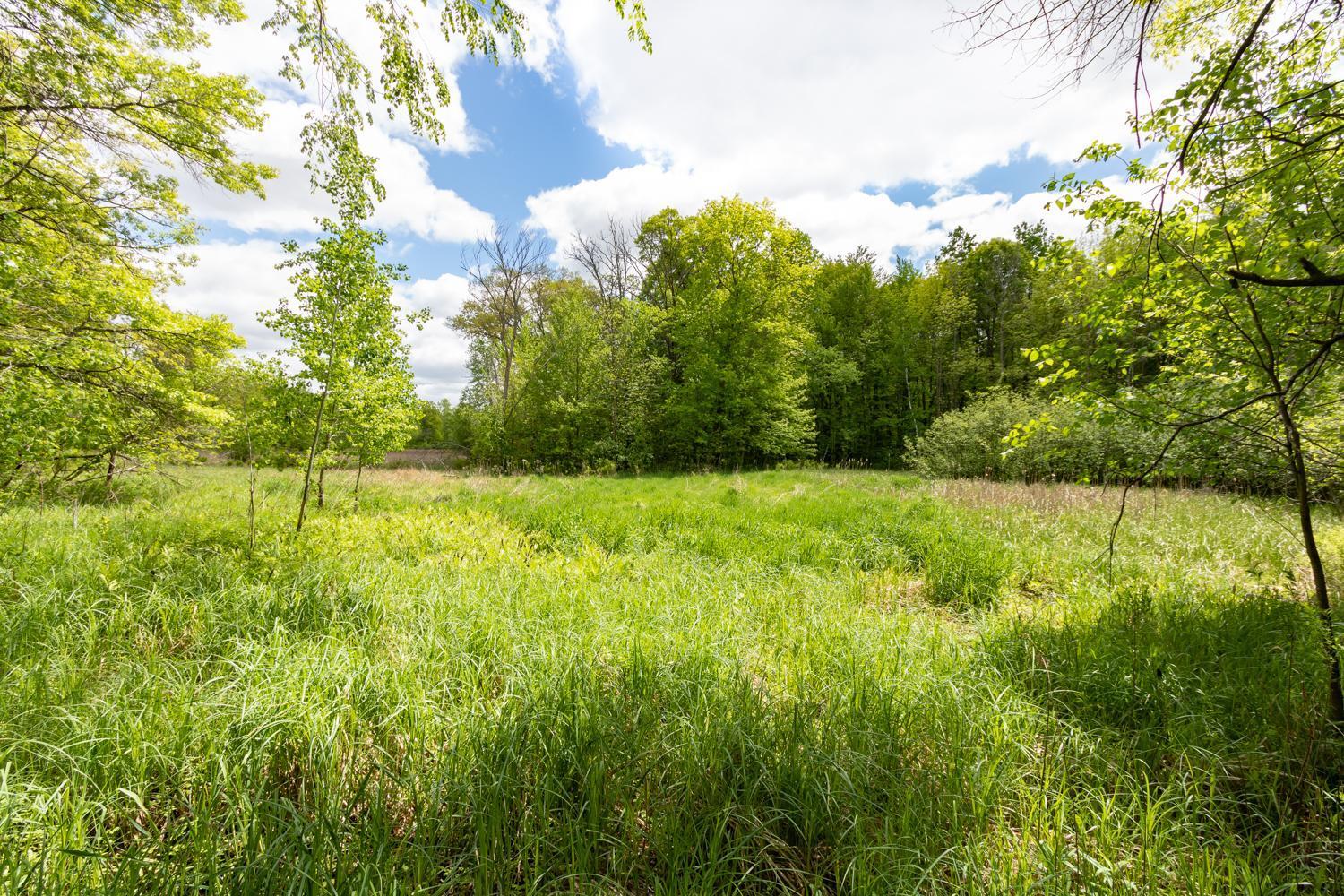 Lot 12 133rd Street, Amery, Wisconsin image 9
