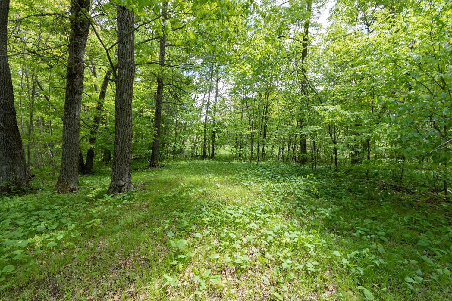 Lot 12 133rd Street, Amery, Wisconsin image 6