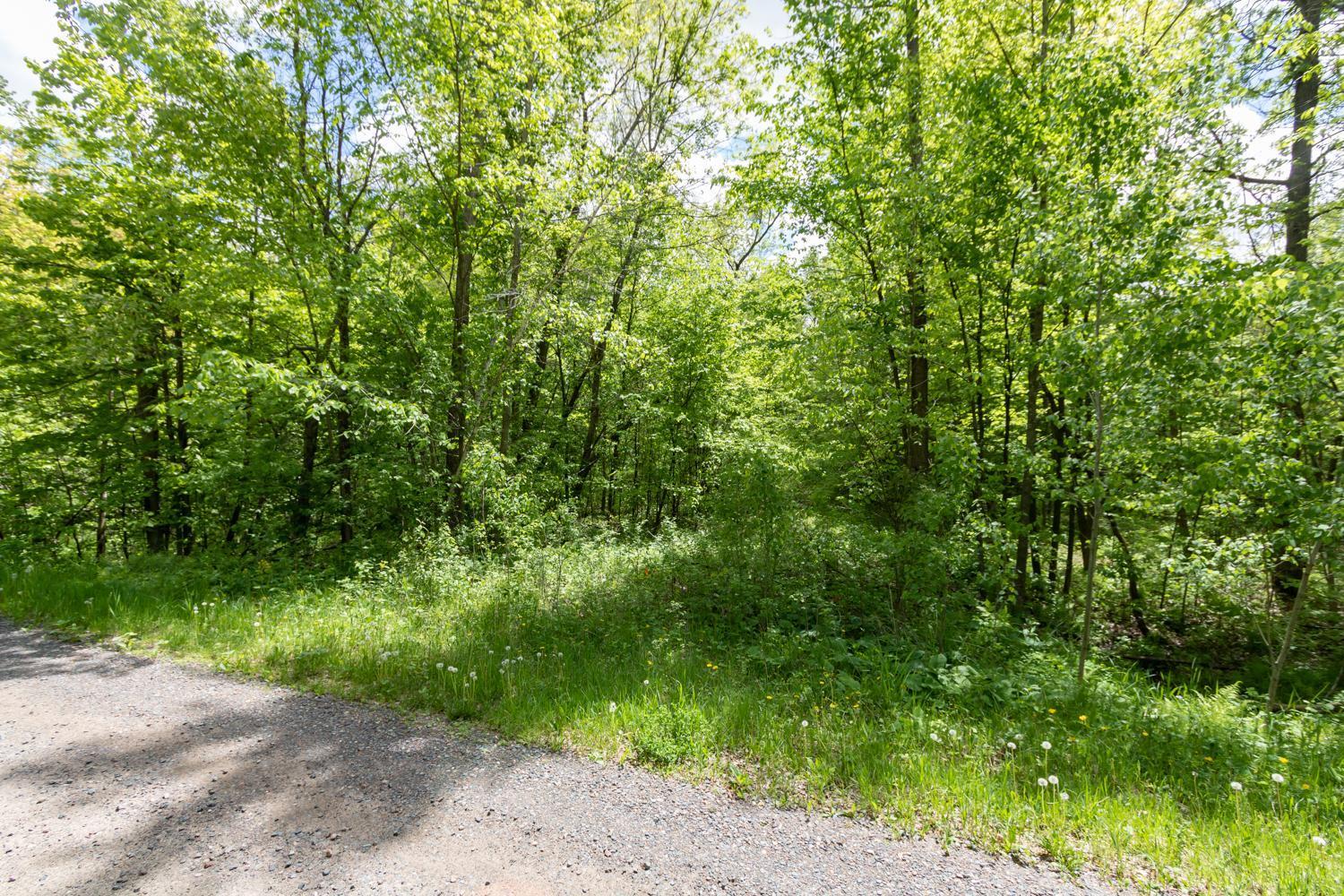 Lot 12 133rd Street, Amery, Wisconsin image 2