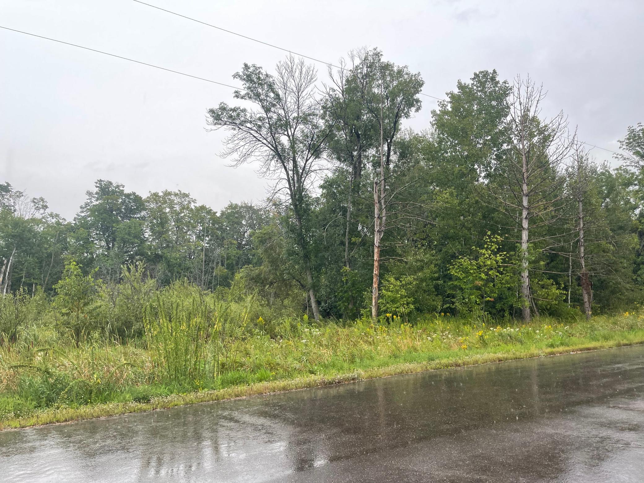 45641 Mille Lacs Parkway, Isle, Minnesota image 11