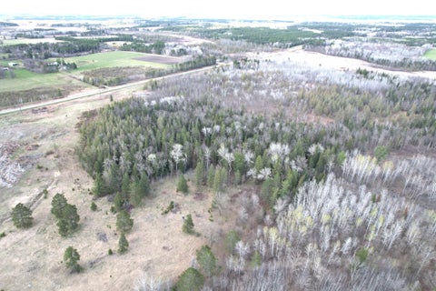 Vacant Land For Sale - TBD State Highway 87 Ln<br/> Wadena County, Menahga, MN 56464