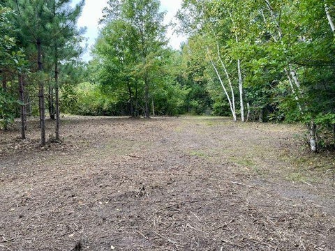 Vacant Land For Sale - LOT 14 New Melahn Dr (lot14)<br/> Lake George, MN 56458
