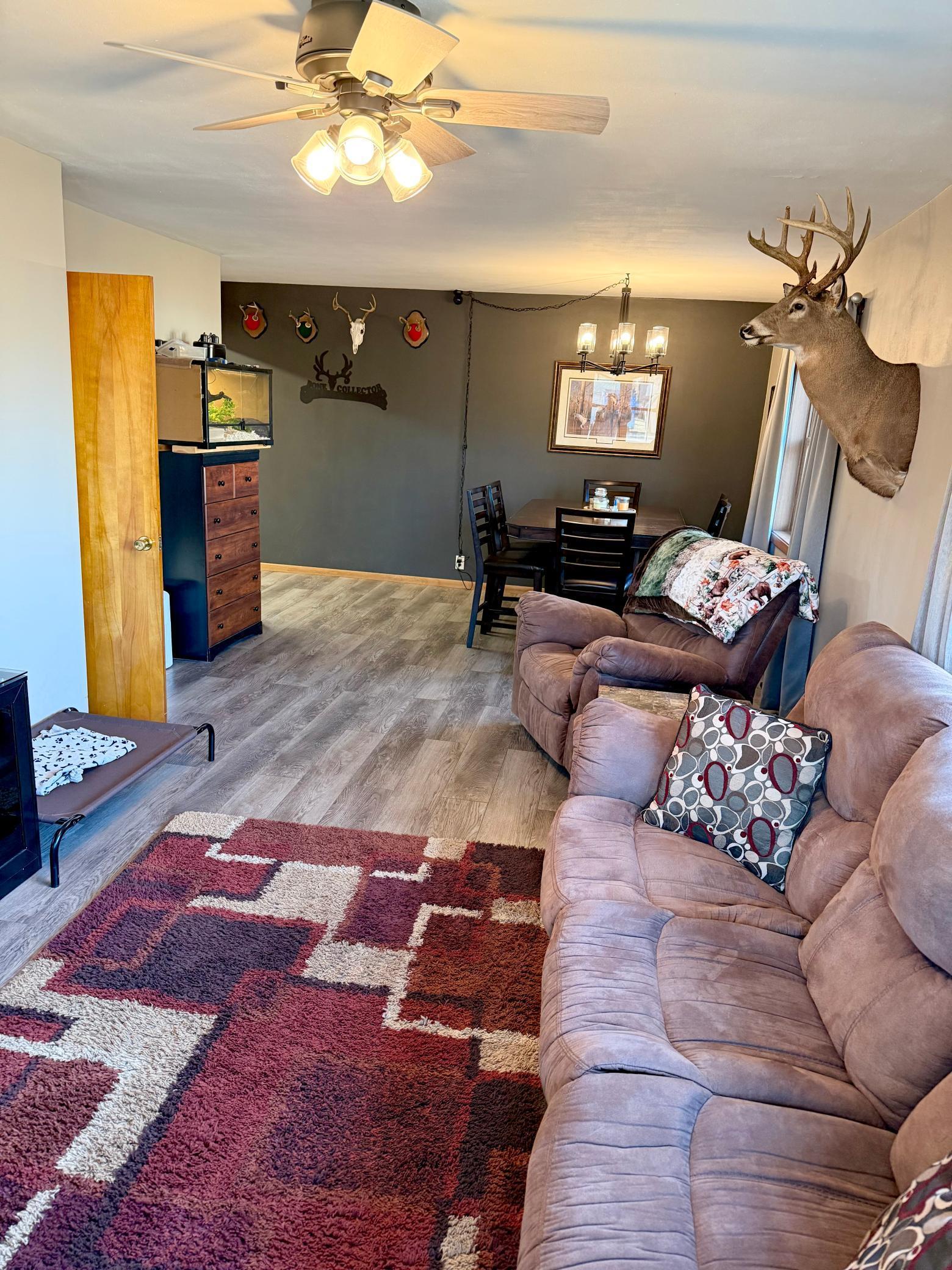 715 1st Street, Thief River Falls, Minnesota image 15