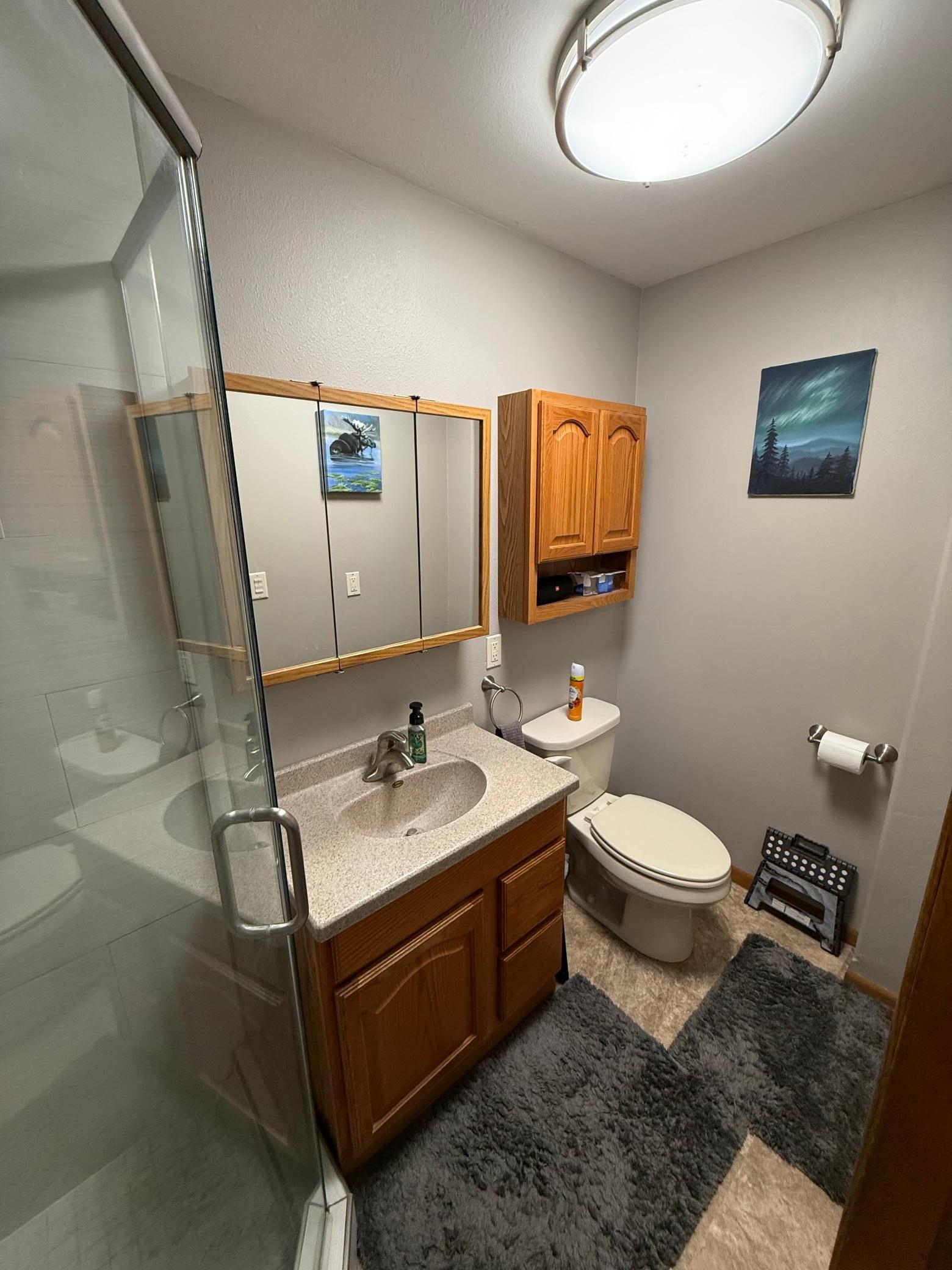715 1st Street, Thief River Falls, Minnesota image 22