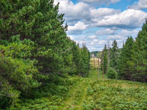 Vacant Land For Sale - TRACT C Hwy 21<br/> Babbitt, MN 55706