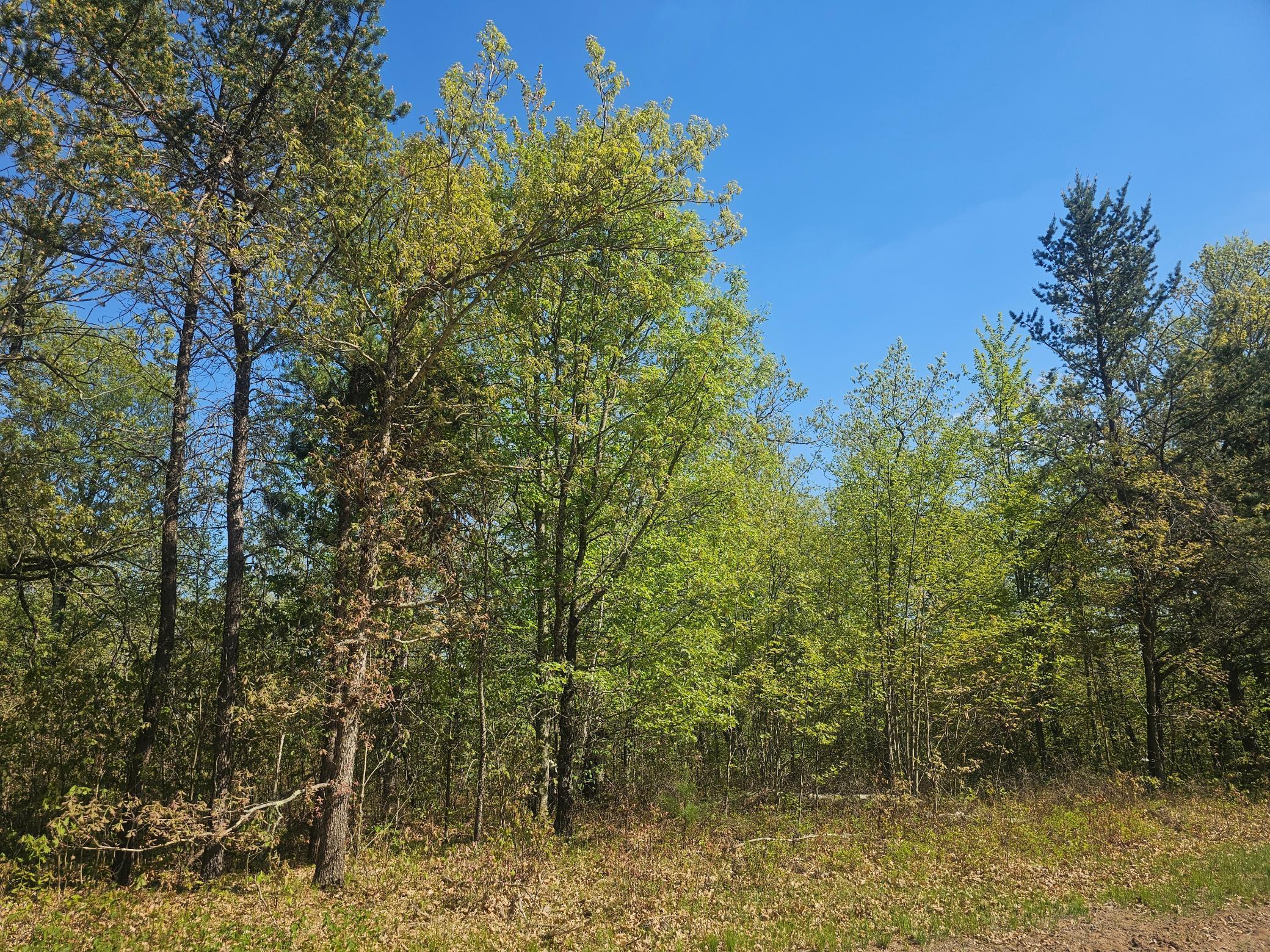 4522 Wilderness Way, Danbury, Wisconsin image 42