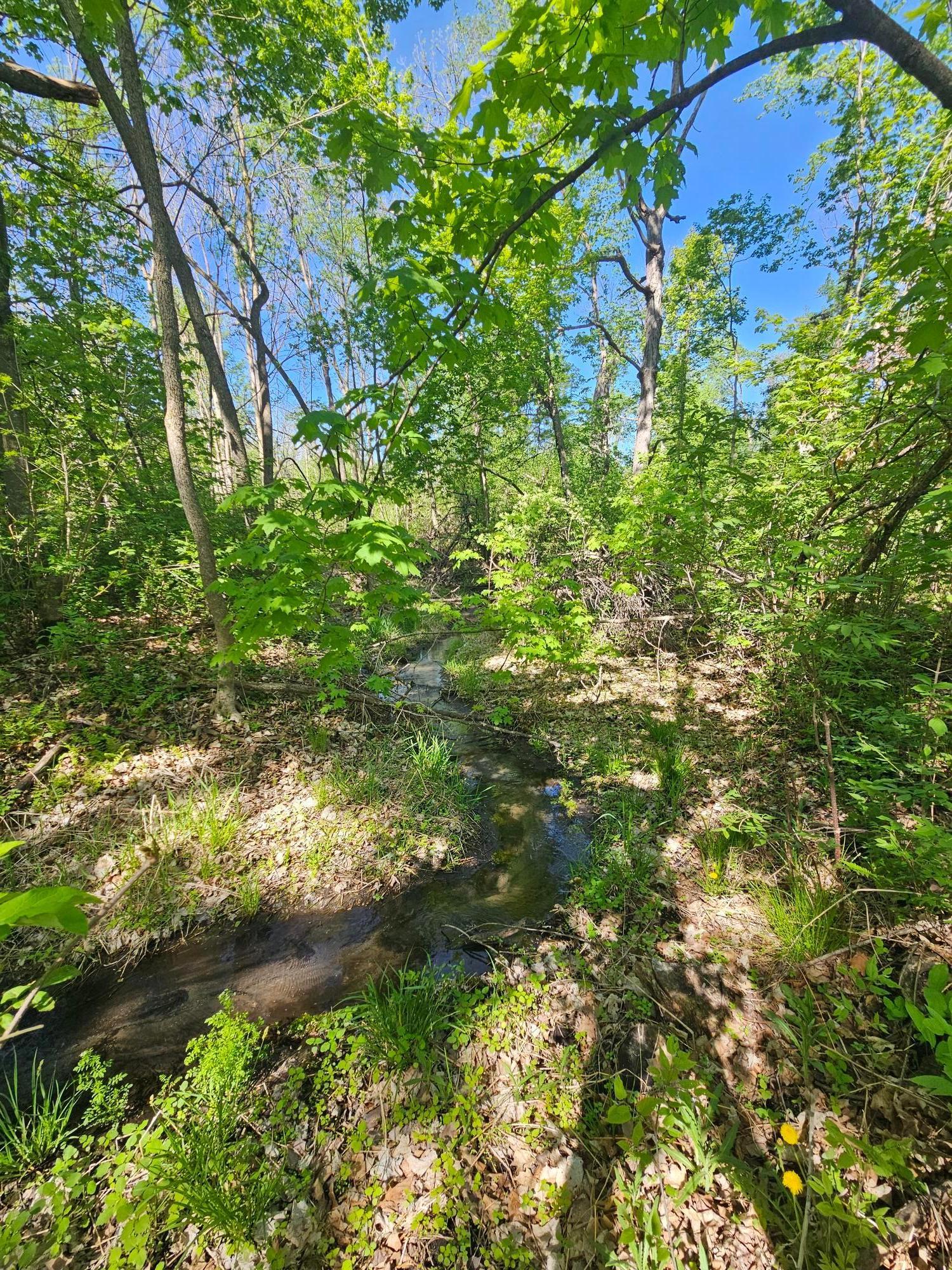 TBD Birch Crest Road, Melrose, Minnesota image 3