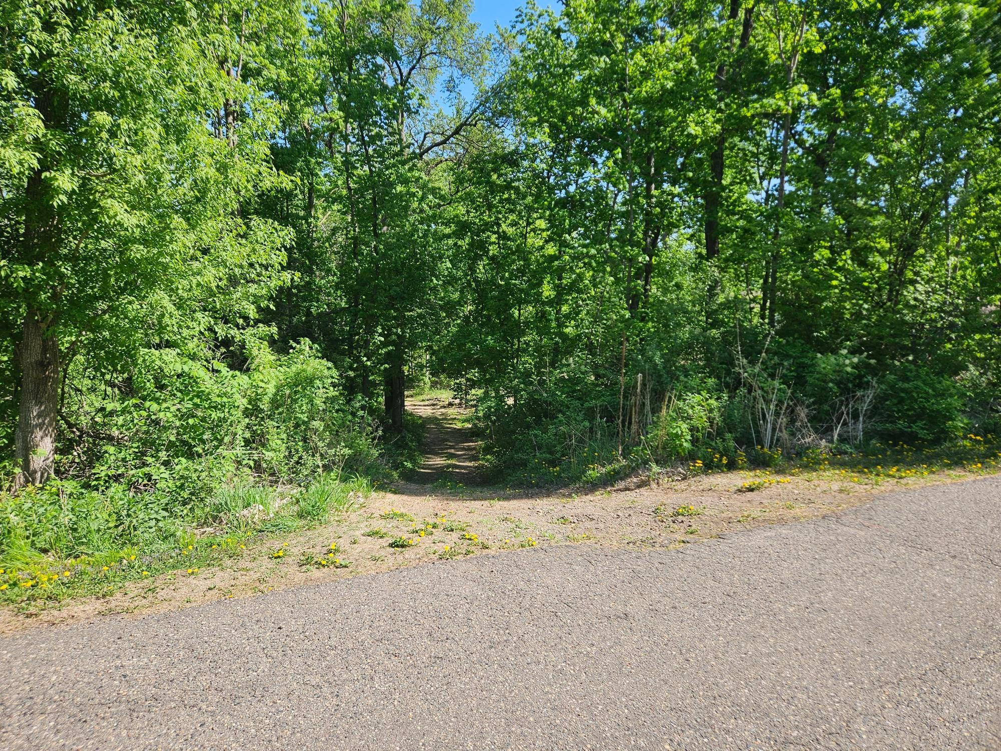 TBD Birch Crest Road, Melrose, Minnesota image 5