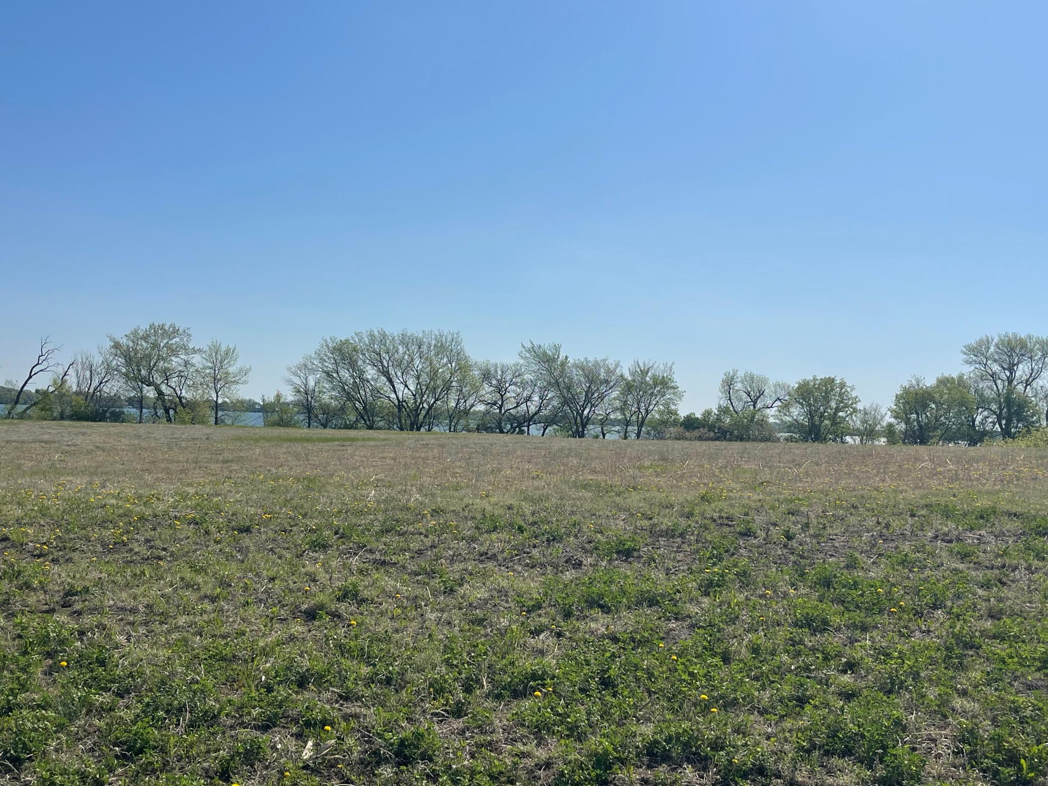 120 South Shores Lane, Garvin, Minnesota image 19
