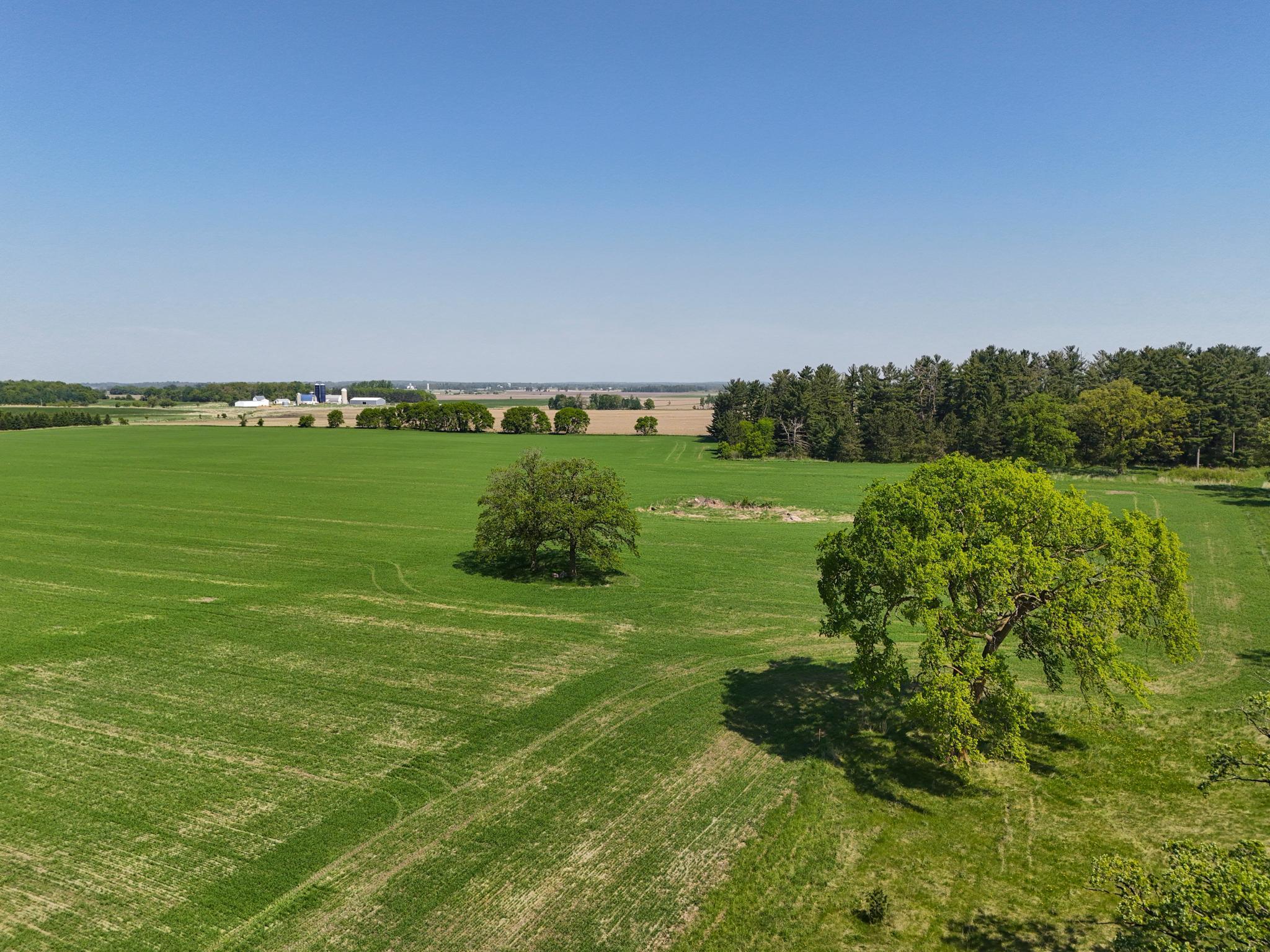 529XX 460th St, Perham, Minnesota image 4
