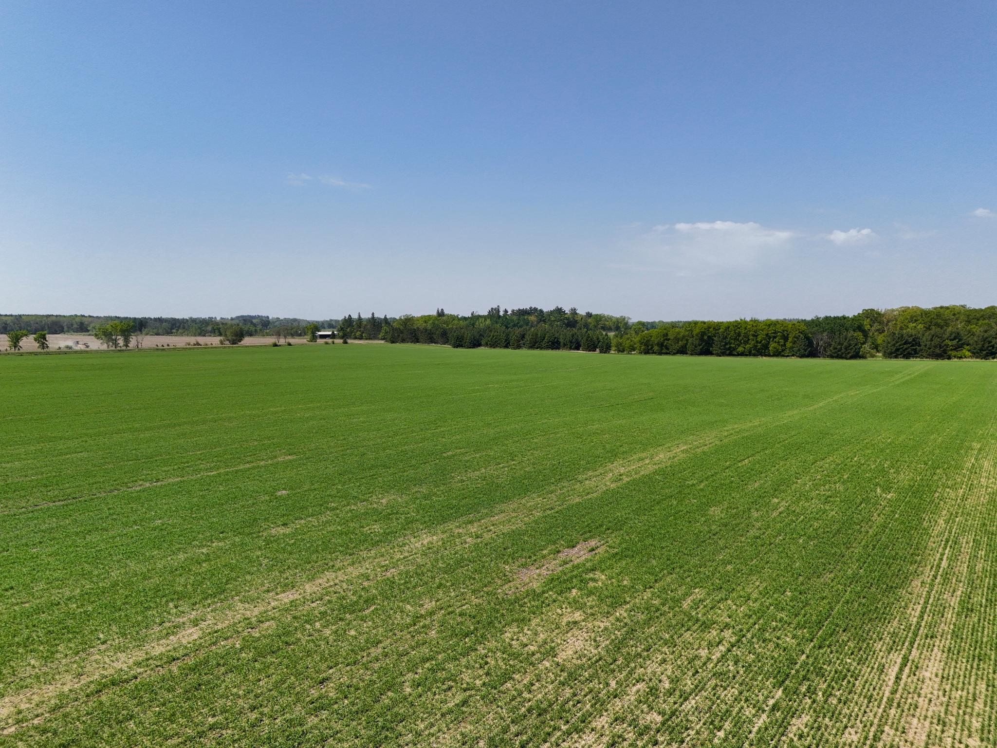 529XX 460th St, Perham, Minnesota image 6