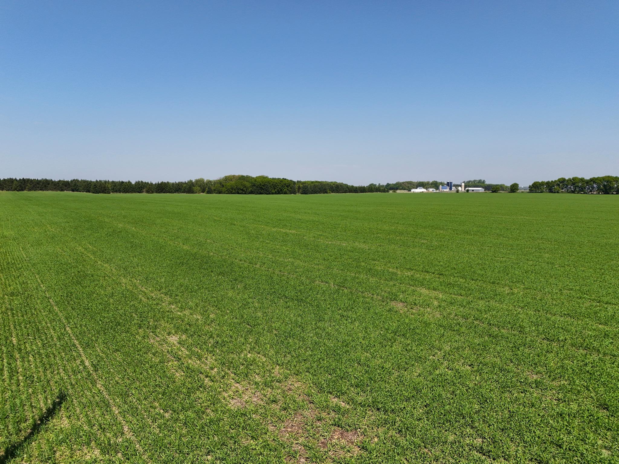529XX 460th St, Perham, Minnesota image 3