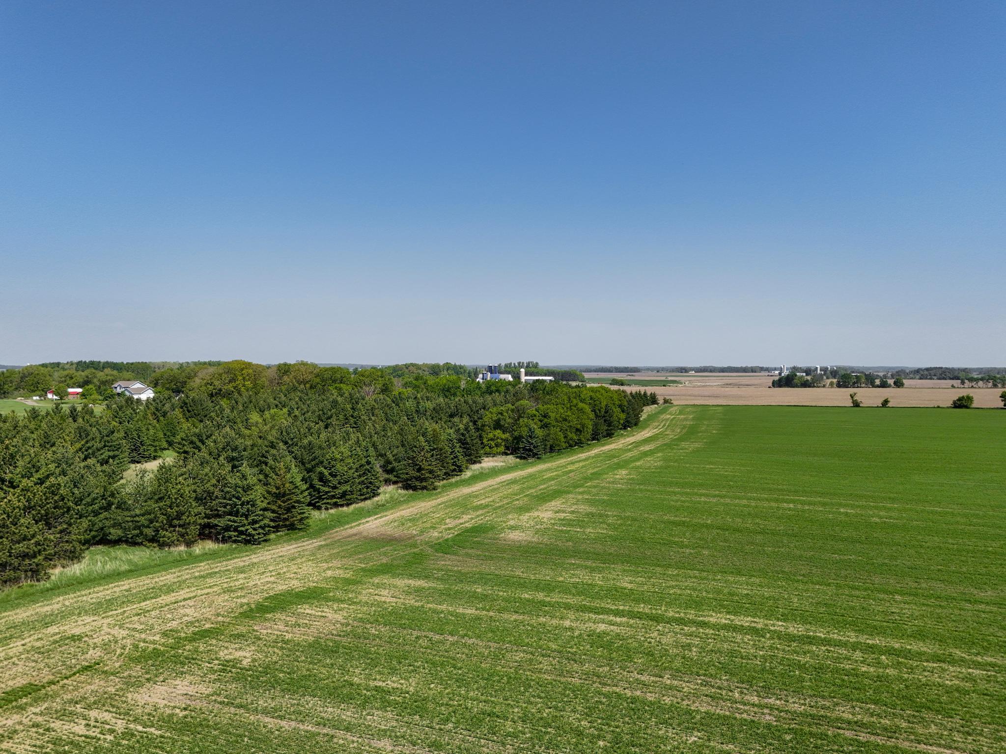 529XX 460th St, Perham, Minnesota image 8