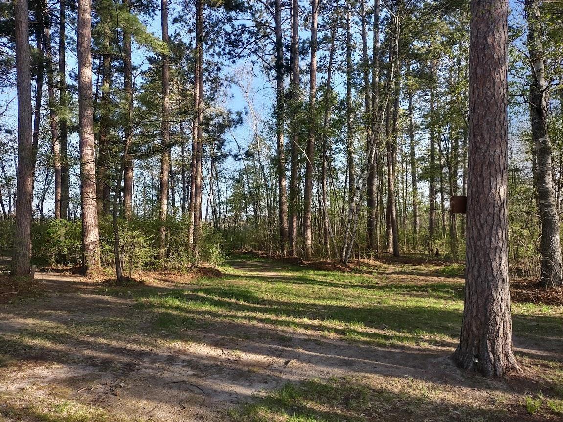 1343 Indian Point Trail, Pine River, Minnesota image 2