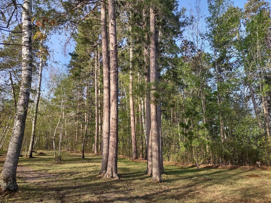 1343 Indian Point Trail, Pine River, Minnesota image 15