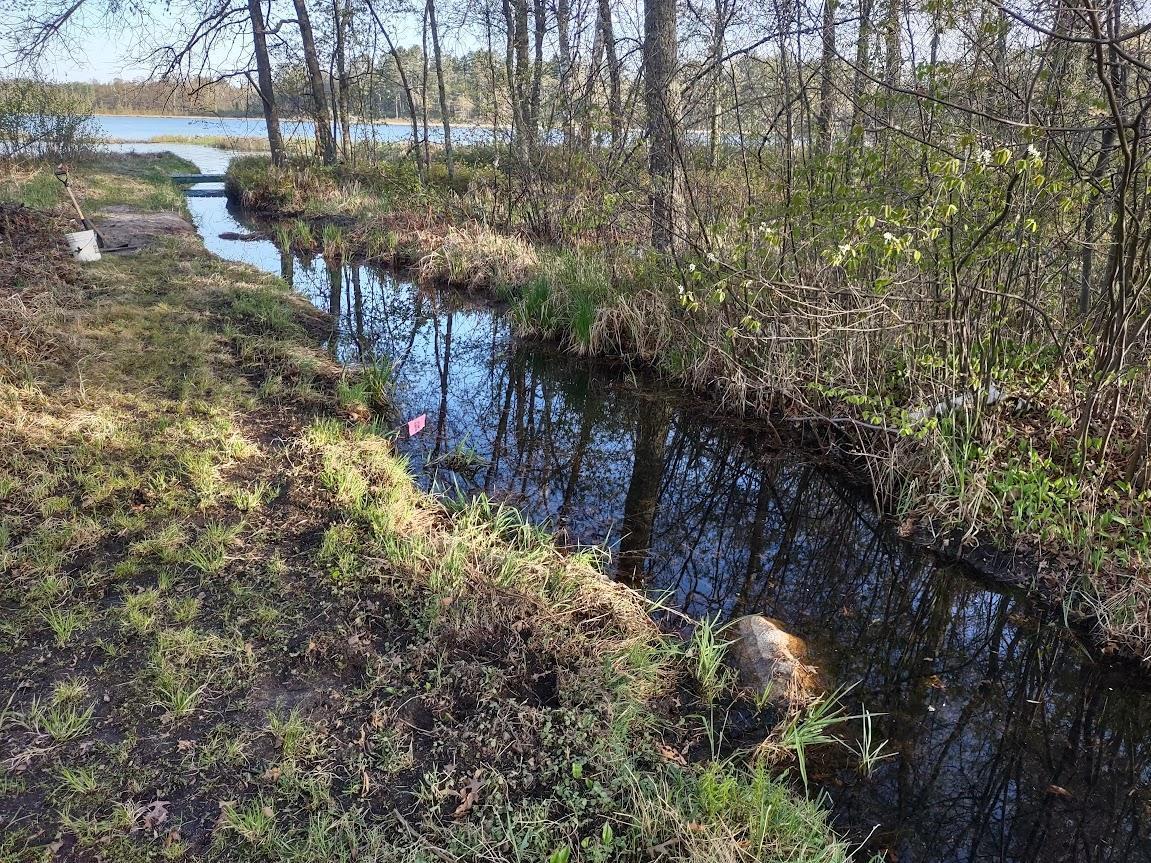 1343 Indian Point Trail, Pine River, Minnesota image 13