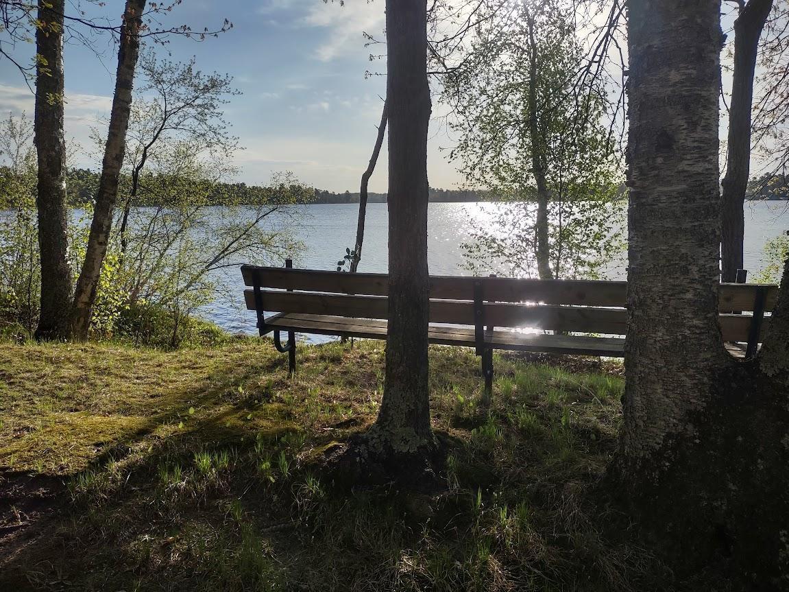 1343 Indian Point Trail, Pine River, Minnesota image 8
