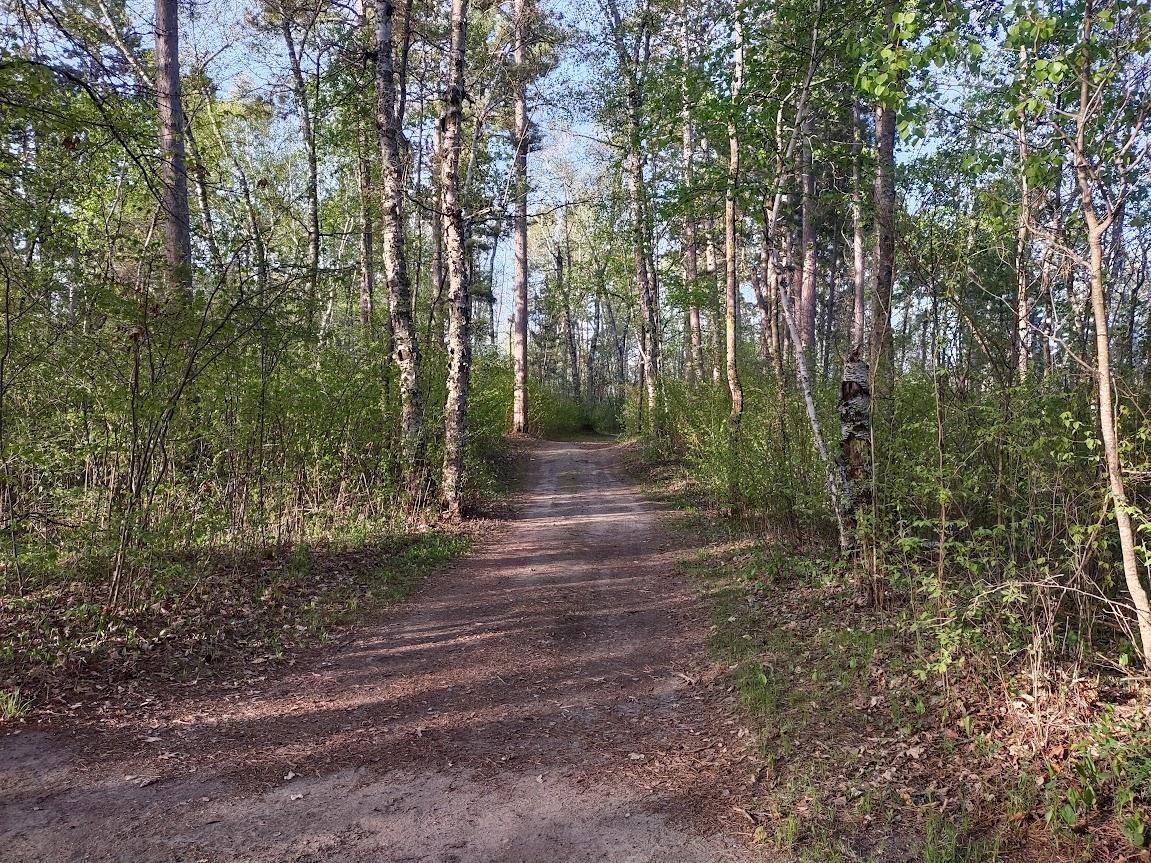 1343 Indian Point Trail, Pine River, Minnesota image 17
