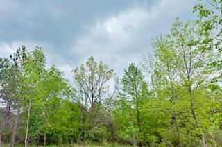 102.77 Acres 805th Street, River Falls, Wisconsin image 2