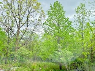 102.77 Acres 805th Street, River Falls, Wisconsin image 3