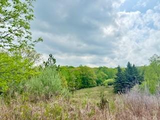 102.77 Acres 805th Street, River Falls, Wisconsin image 1