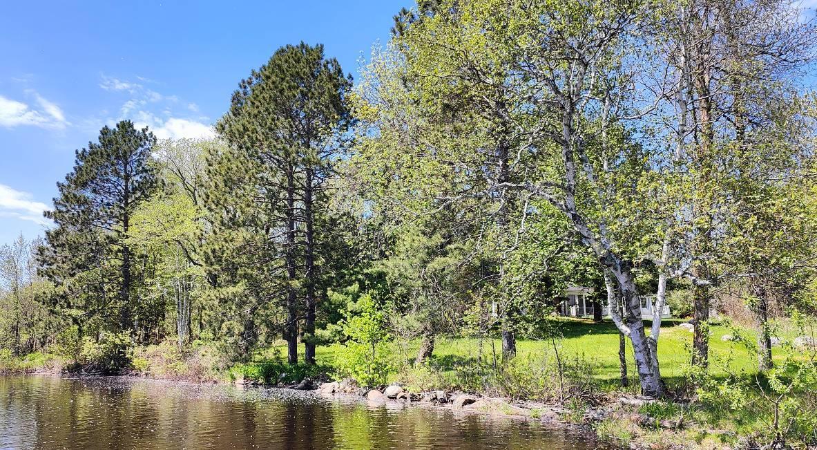 80052 Tamarack Trail, Tower, Minnesota image 3