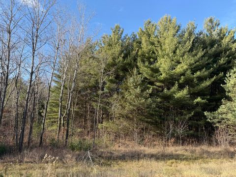 Vacant Land For Sale - L10BLK1 177th Street<br/> Sherburne County, Big Lake, MN 55309