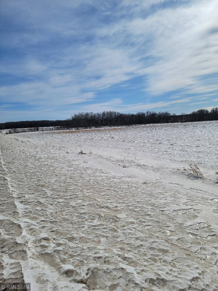 XXX County Rd 82, Eagle Bend, Minnesota image 7