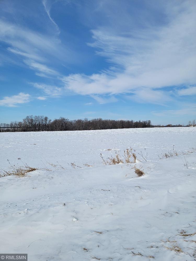 XXX County Rd 82, Eagle Bend, Minnesota image 4