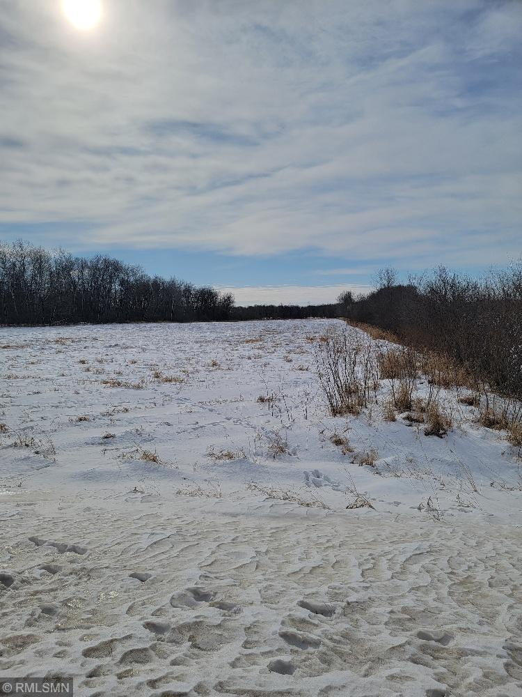 XXX County Rd 82, Eagle Bend, Minnesota image 10