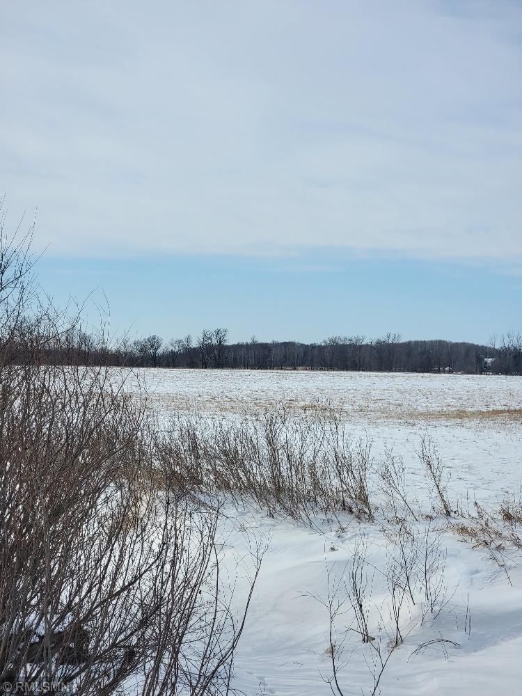 XXX County Rd 82, Eagle Bend, Minnesota image 9