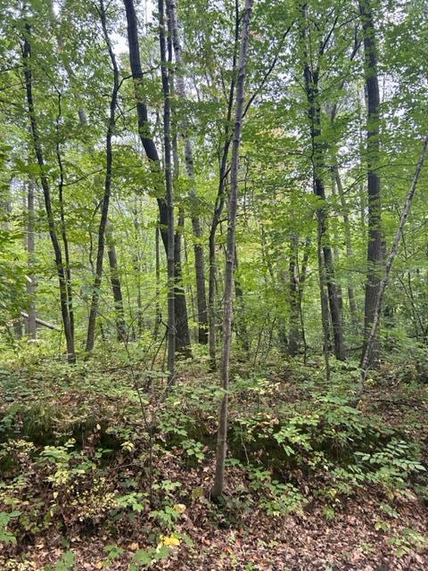 Vacant Land For Sale - XXX Marble Dr<br/> Morrison County, Cushing, MN 56443