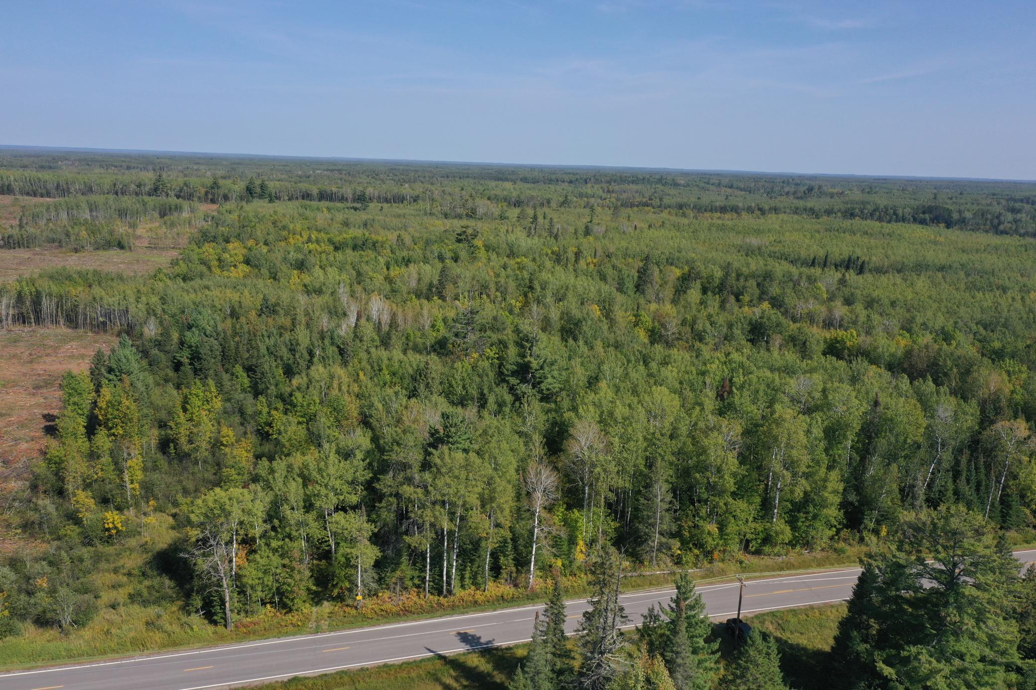 TBD Hwy 1, Cook, Minnesota image 1