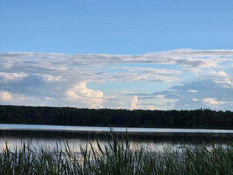 Vacant Land For Sale - TBD LOT 3 190th Street<br/> Clearwater County, Bagley, MN 56621