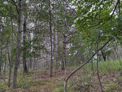 Vacant Land For Sale - LOT 2 Lever Street<br/> Isanti, MN 55040