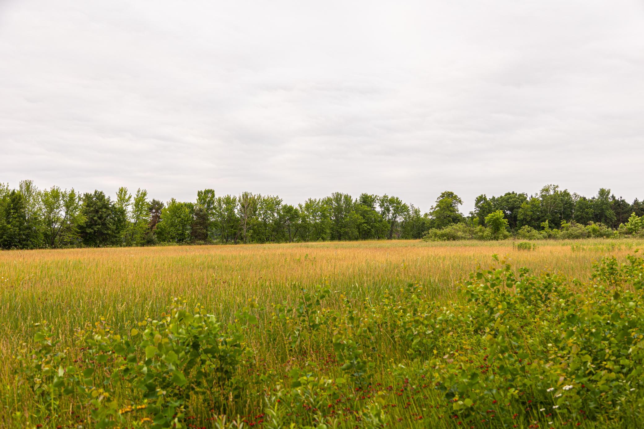 000 Craft Lane, Pine City, Minnesota image 22