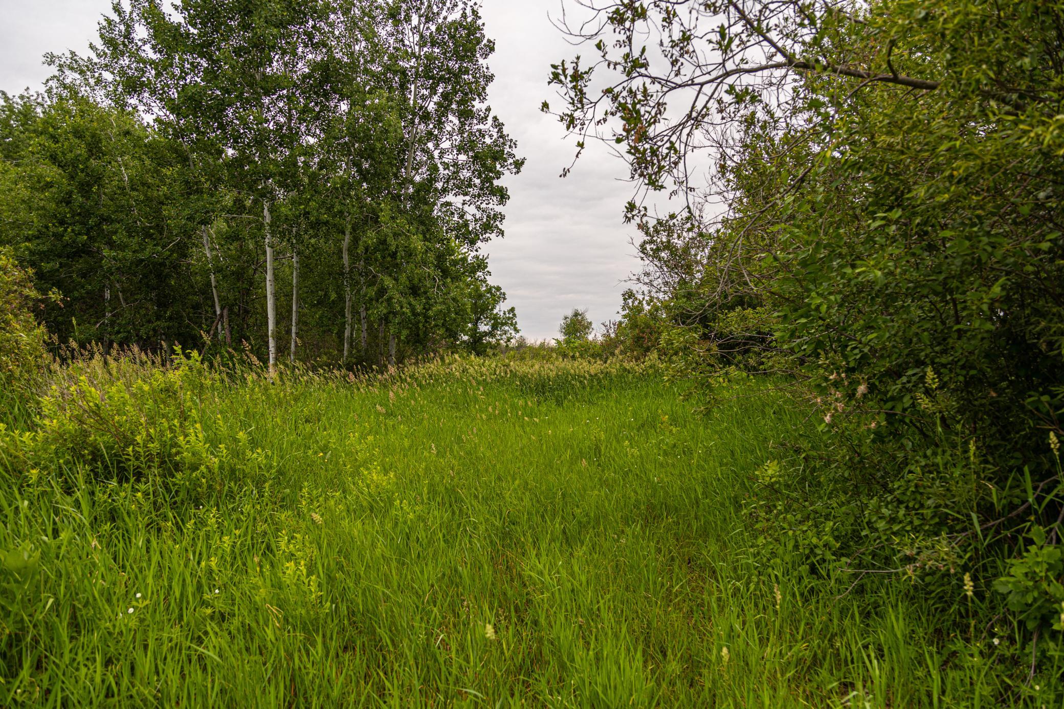 000 Craft Lane, Pine City, Minnesota image 39