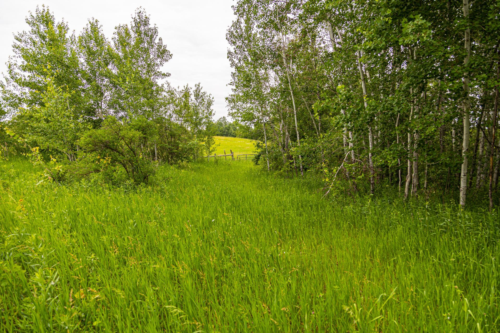 000 Craft Lane, Pine City, Minnesota image 43